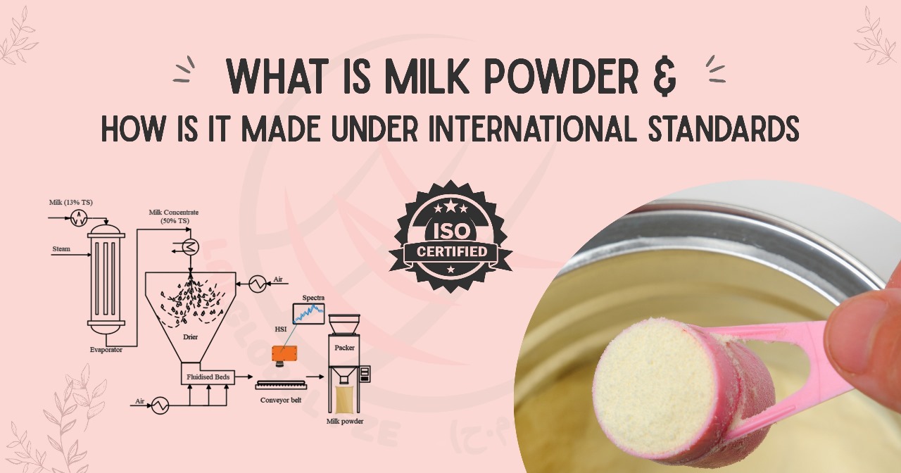 what is milk powder